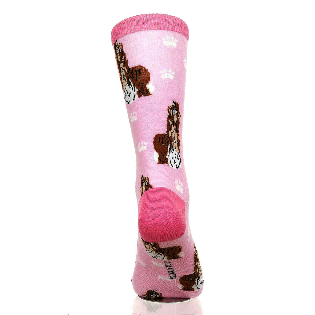 Shih Tzu | Plenty of Pups