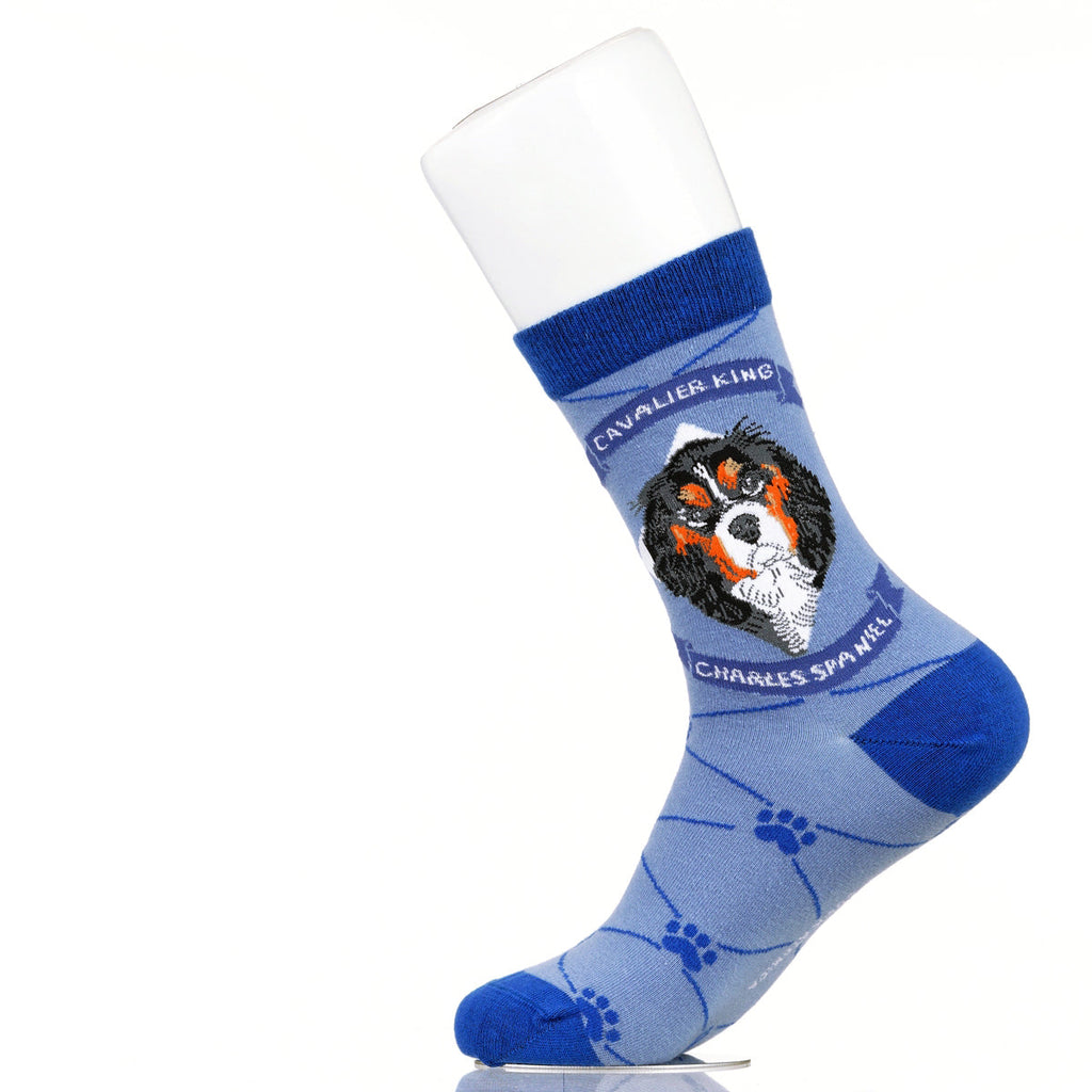 Cavalier King Charles Spaniel | Argyle Pups