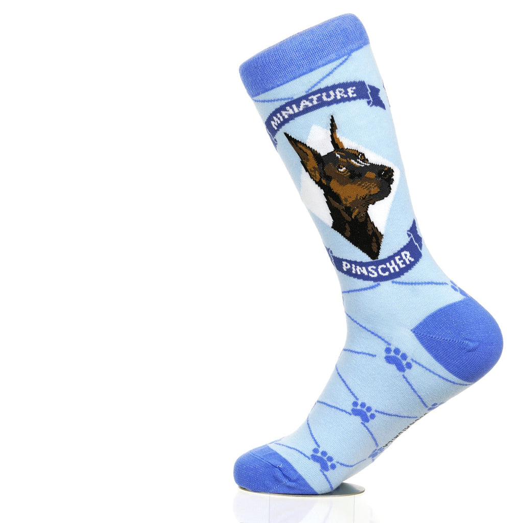 Miniature Pinscher | Argyle Pups