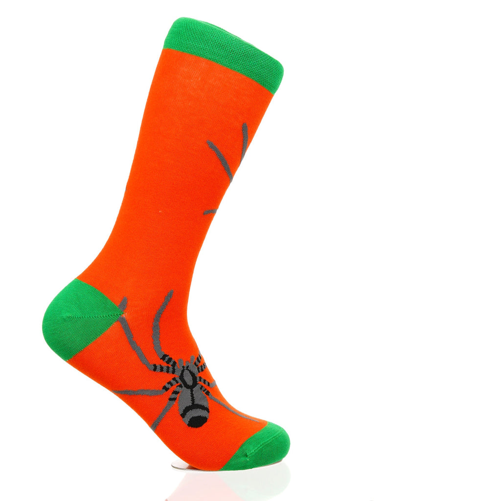 Halloween Spider Crawl