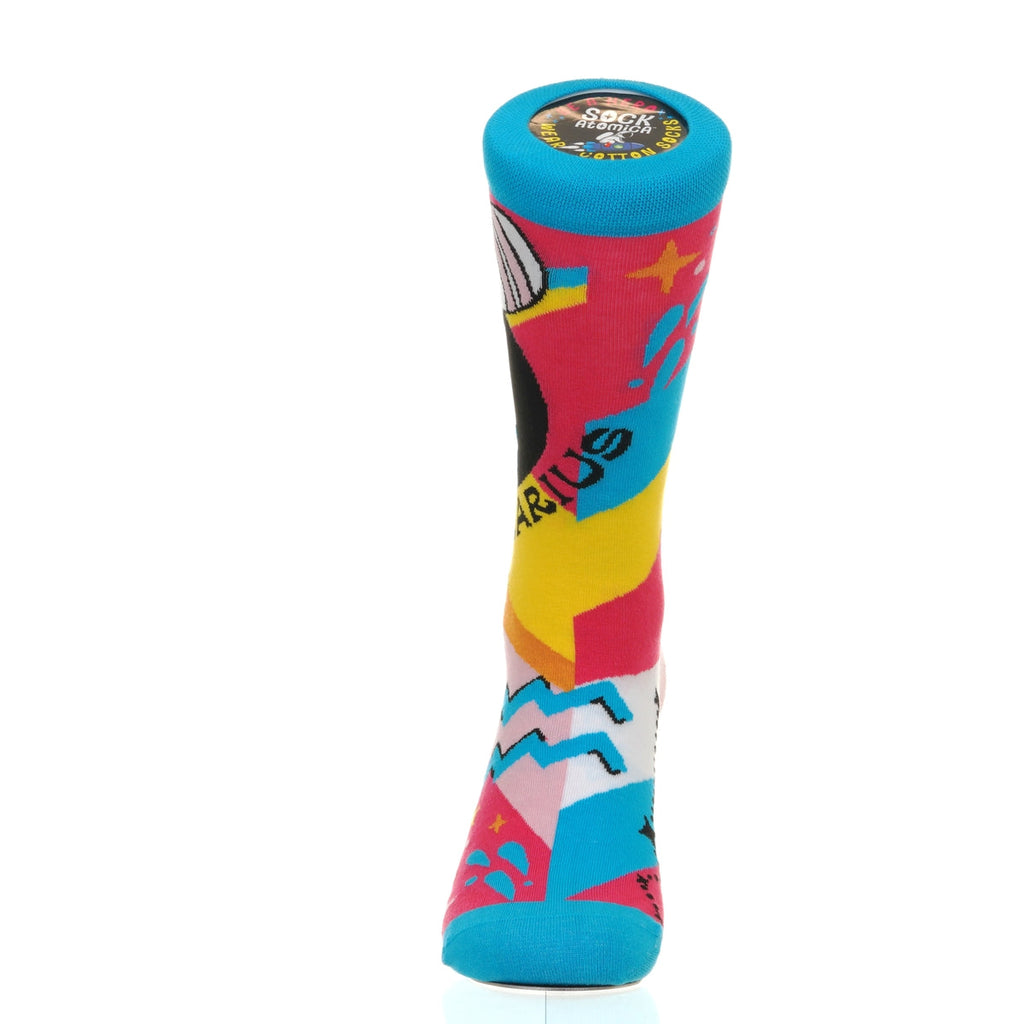 Zodiac Signs Aquarius