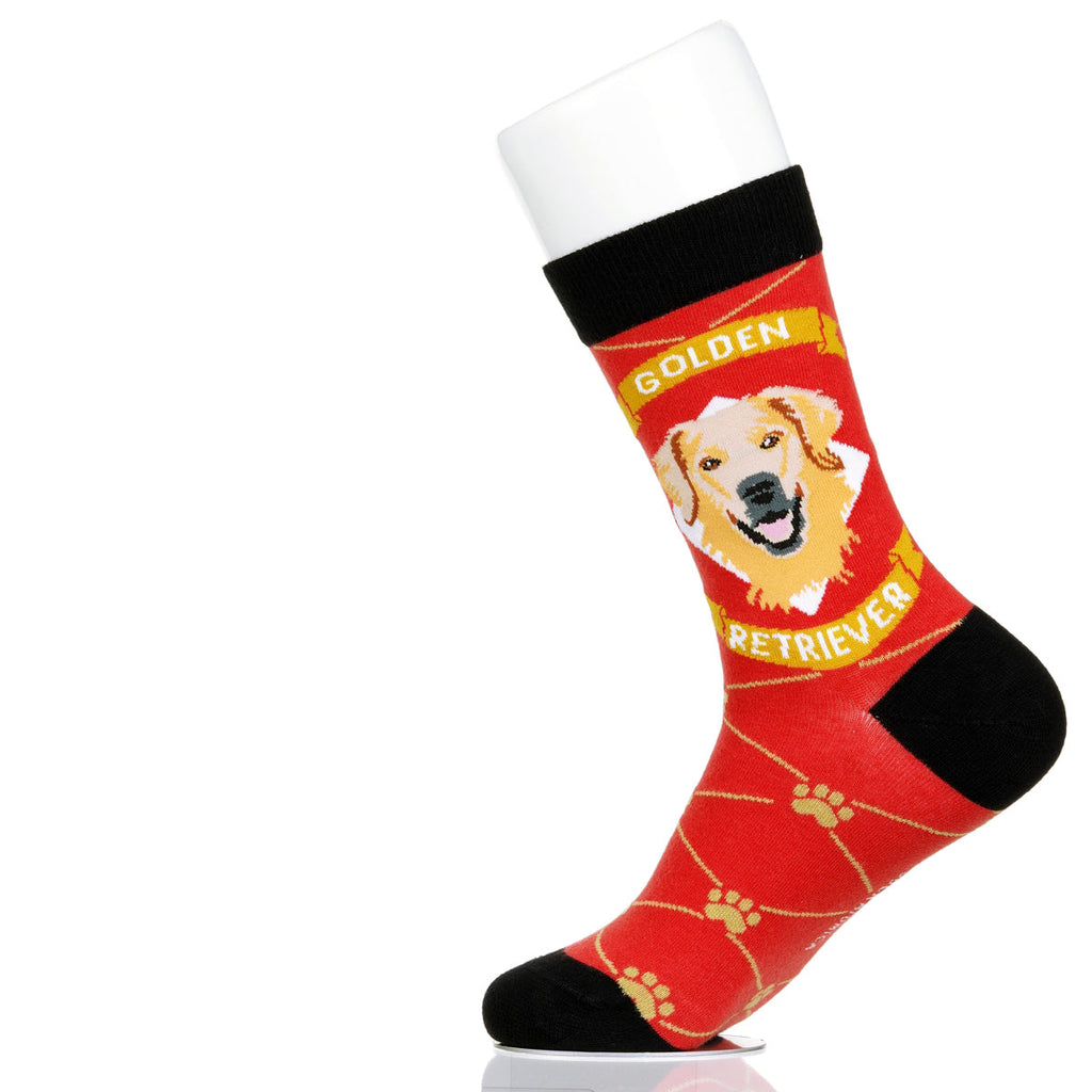 Golden Retriever | Argyle Pups