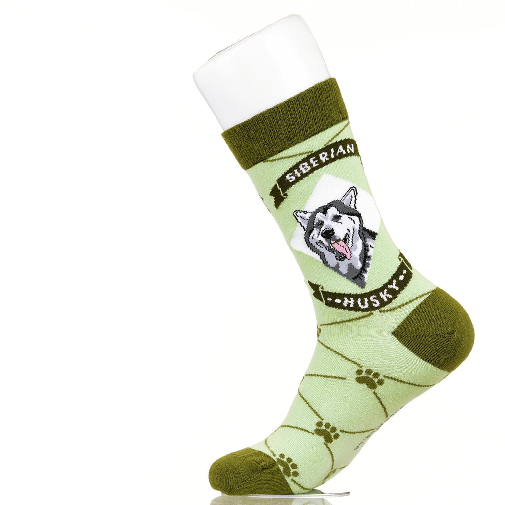 Siberian Husky | Argyle Pups