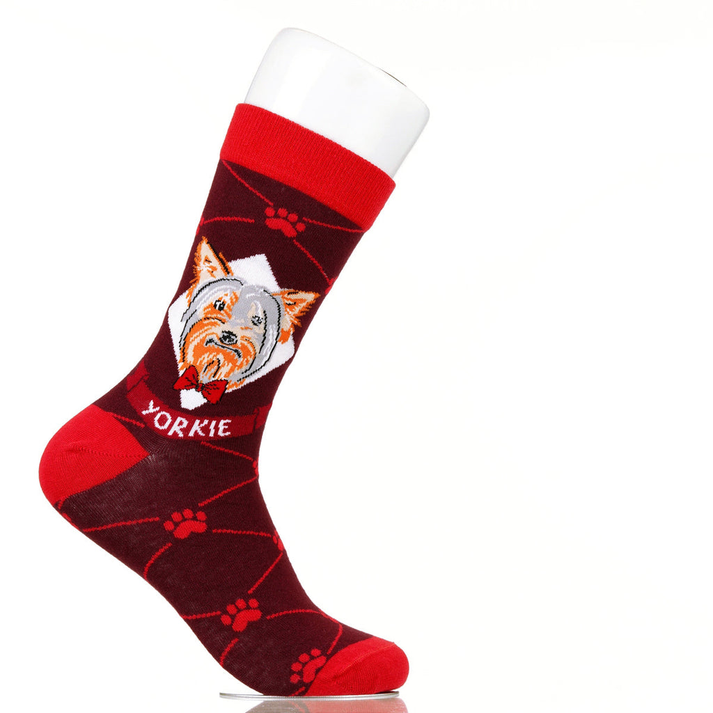 Yorkie | Argyle Pups