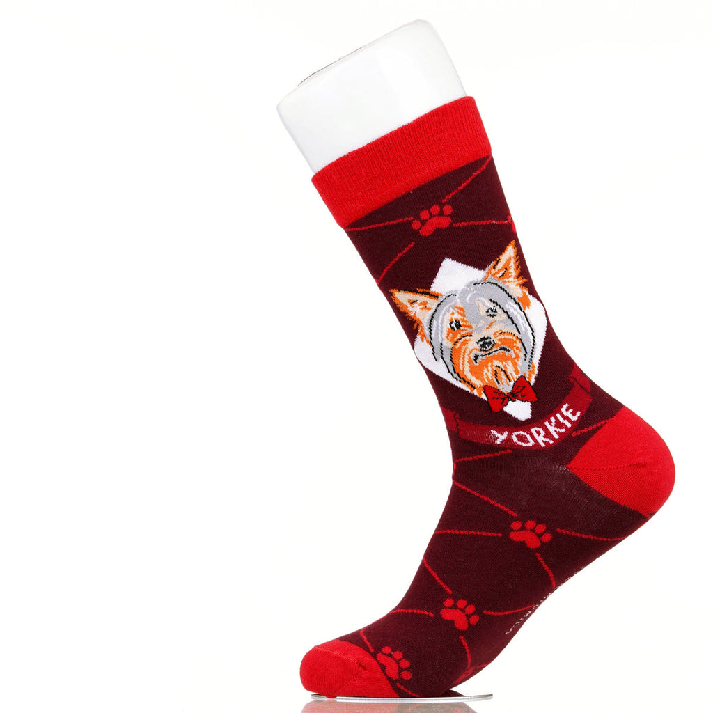 Yorkie | Argyle Pups