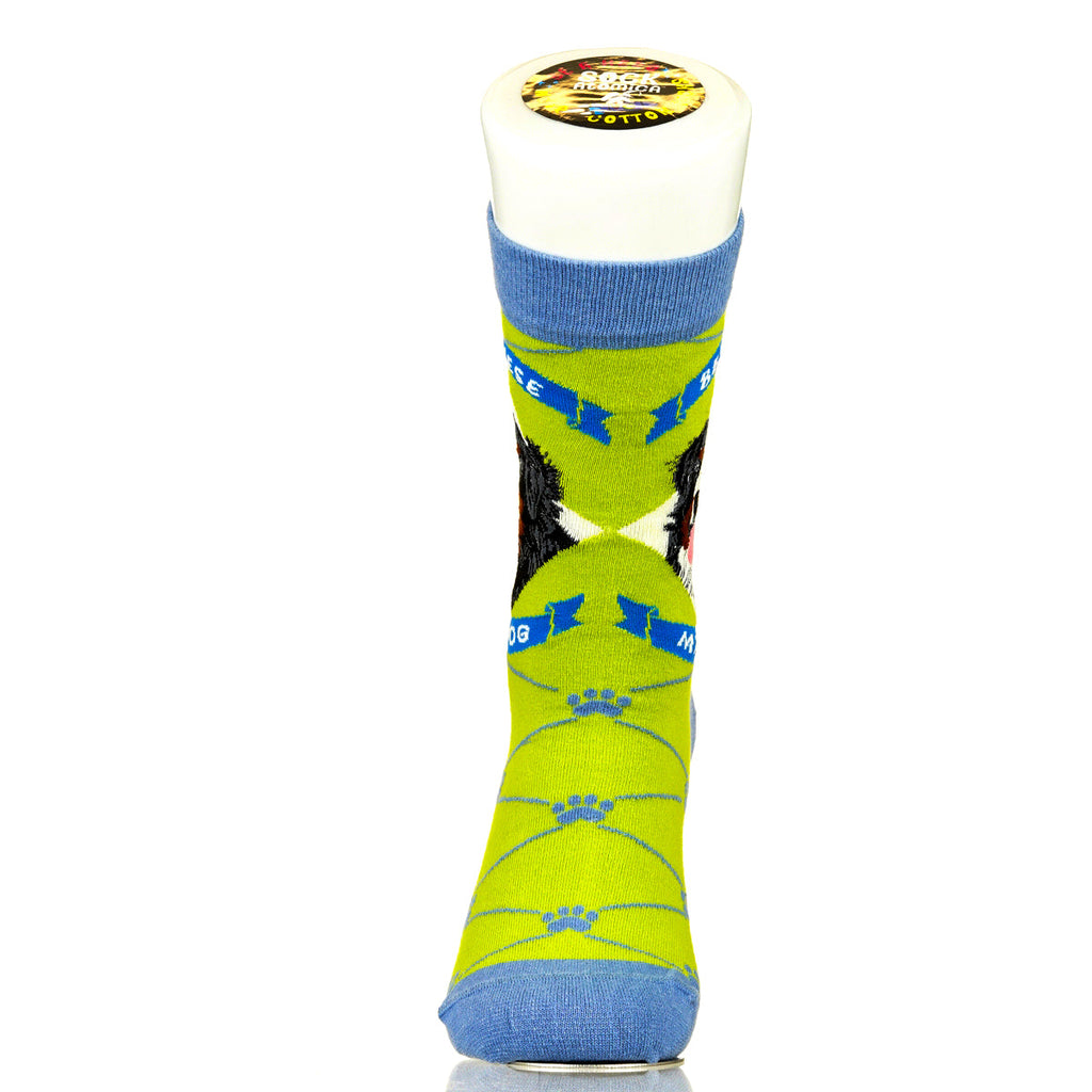 Bernese Mountain Dog | Argyle Pups