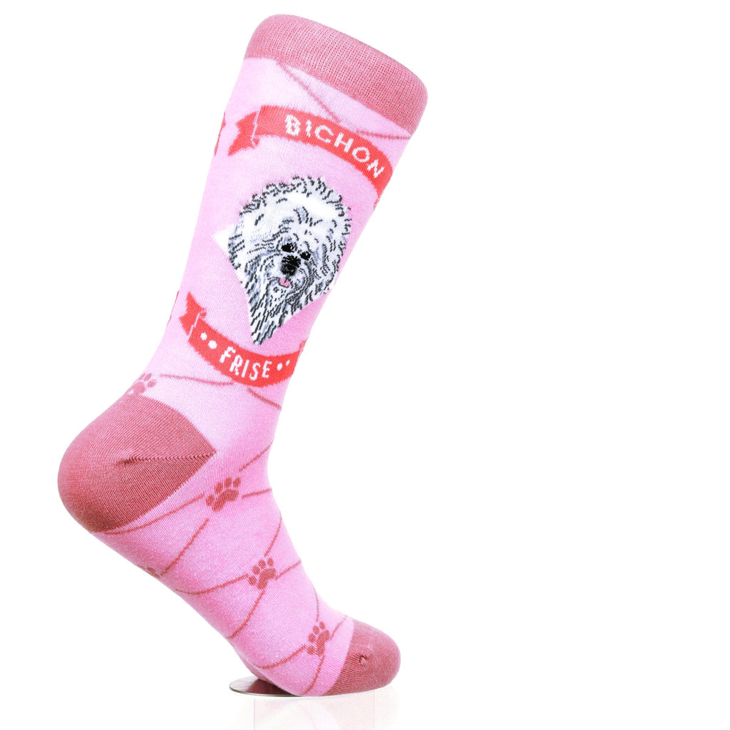 Bichon Frise | Argyle Pups