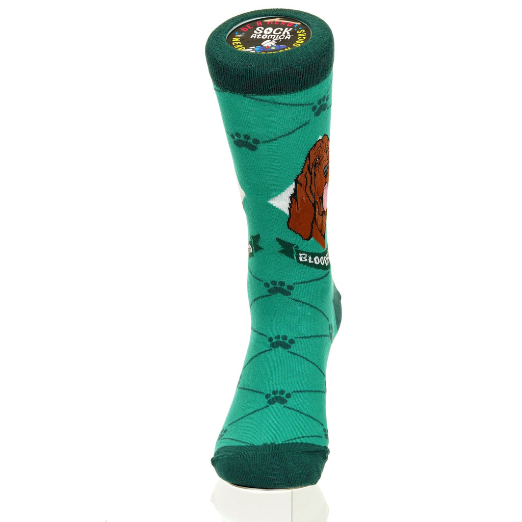 Bloodhound | Argyle Pups