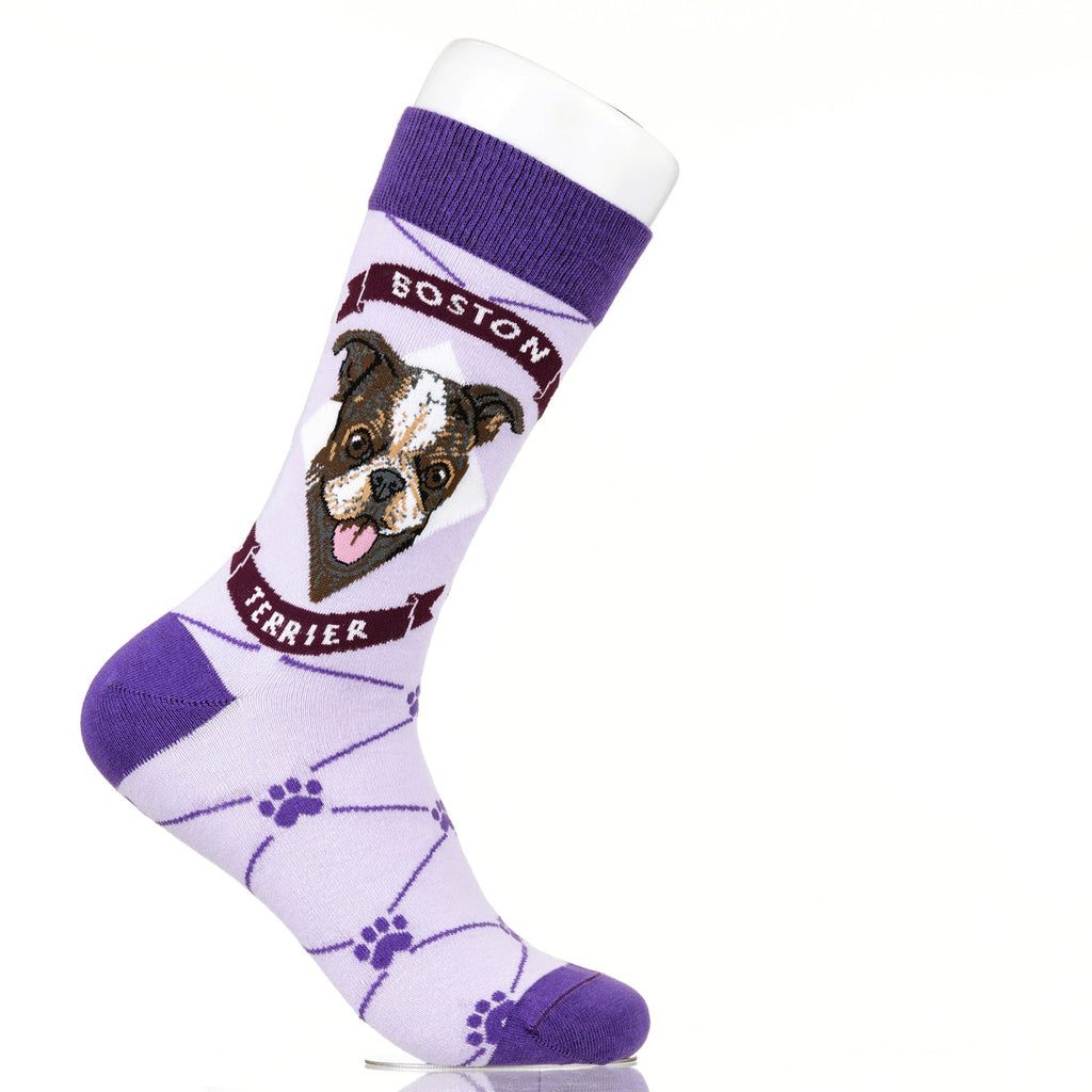 Boston Terrier | Argyle Pups