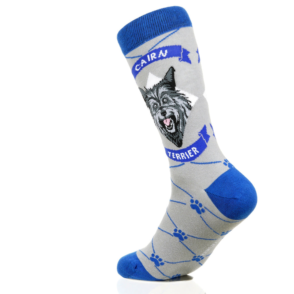 Cairn Terrier | Argyle Pups