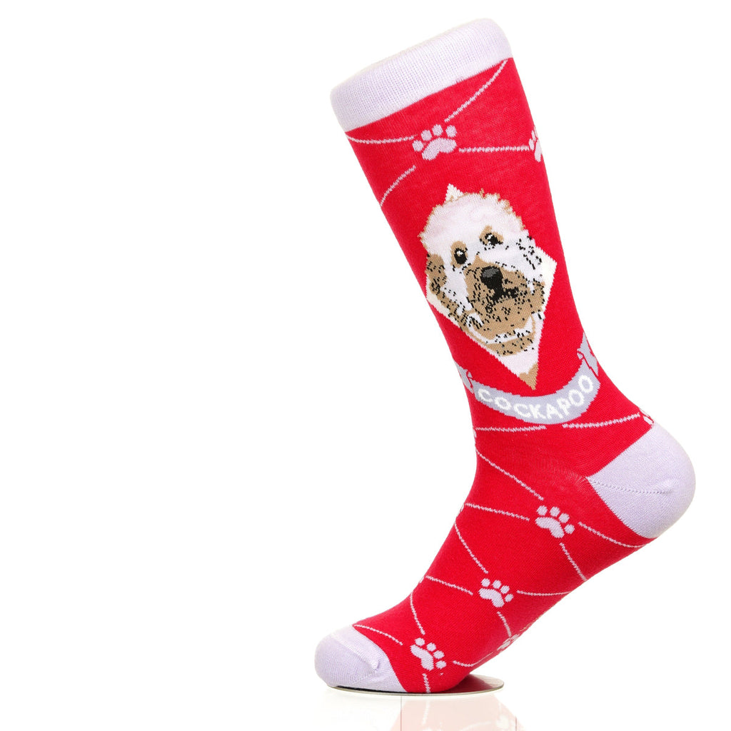 Cockapoo | Argyle Pups