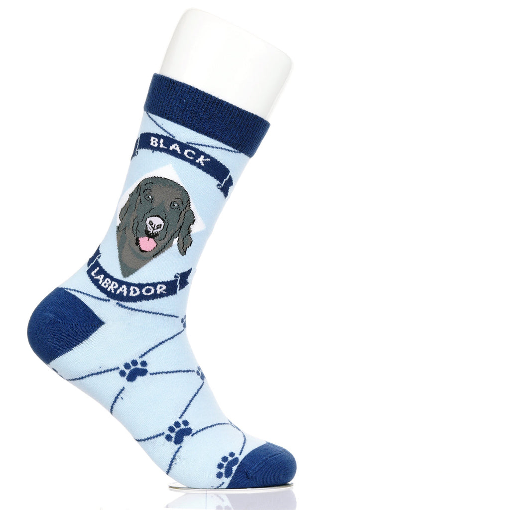 Labrador Black Lab | Argyle Pups