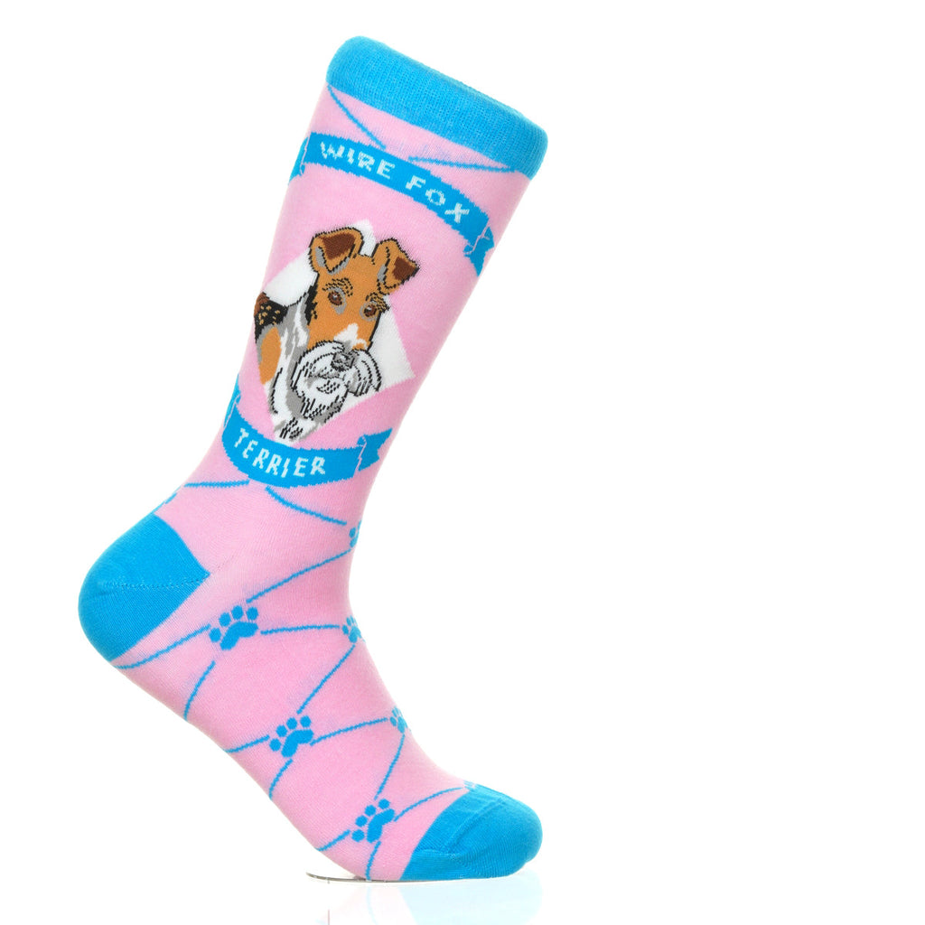 Wire Fox Terrier | Argyle Pups